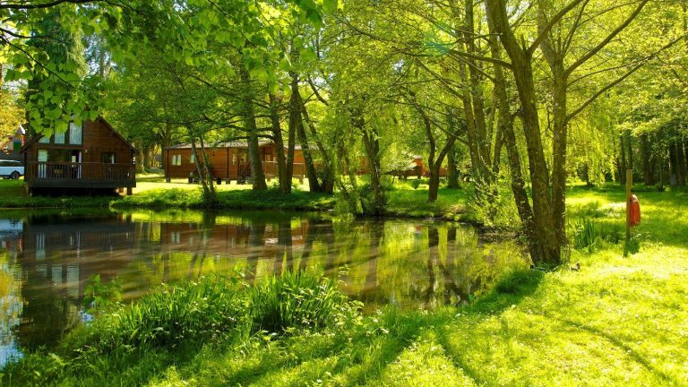 WHITEMEAD